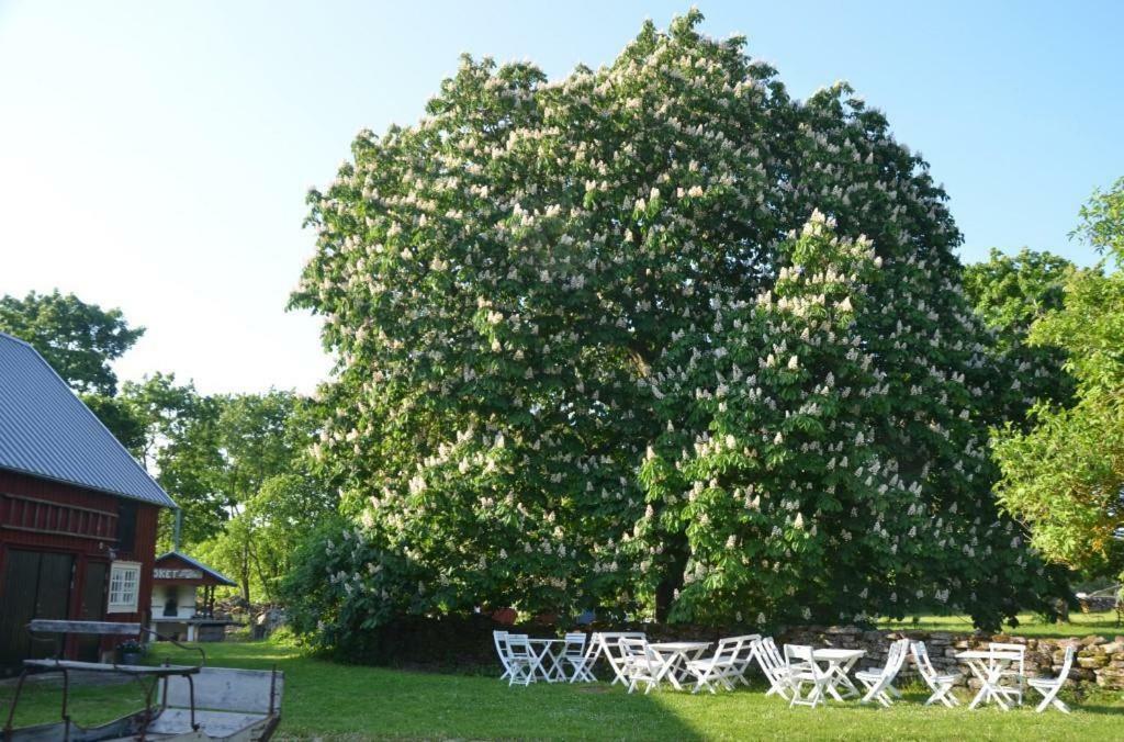 Färjestaden Rosenborgs Friluftspensionat מראה חיצוני תמונה